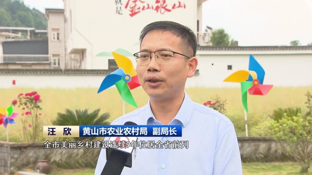 黄山市农业农村局 副局长 汪欣