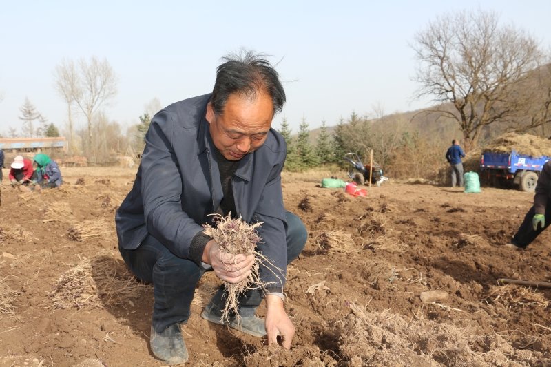 华亭“因村制宜”开方子 村集体经济换挡提速