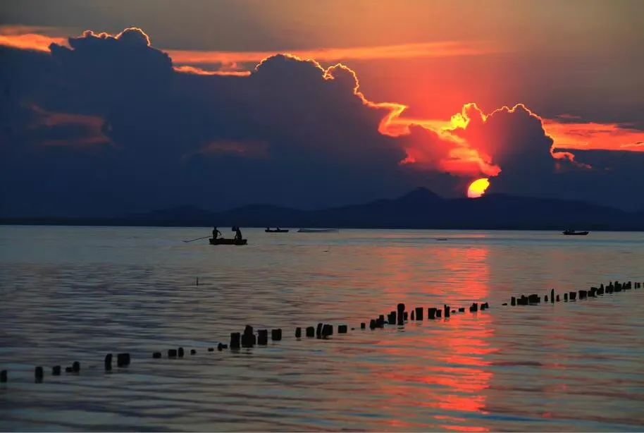 巢湖 凤凰网安徽特约摄影师 赵山松/摄