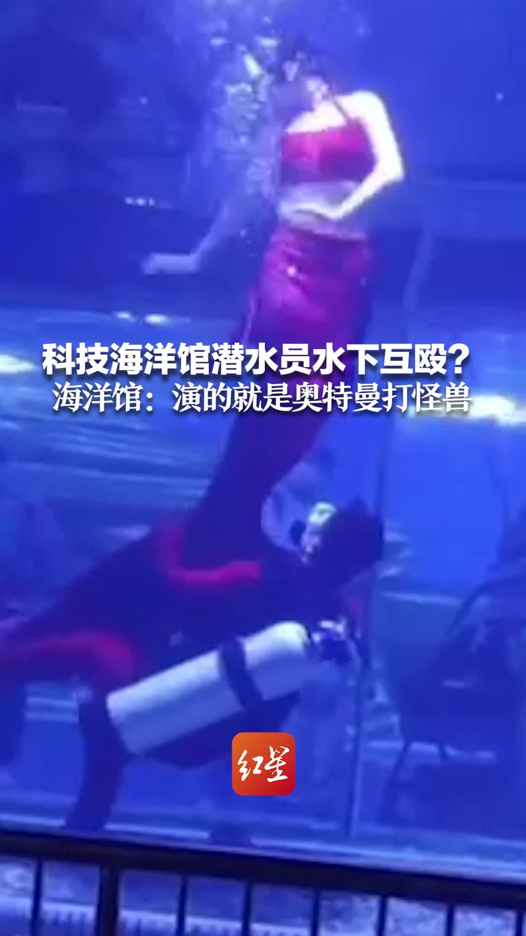 科技海洋馆潜水员水下互殴？海洋馆：演的就是奥特曼打怪兽