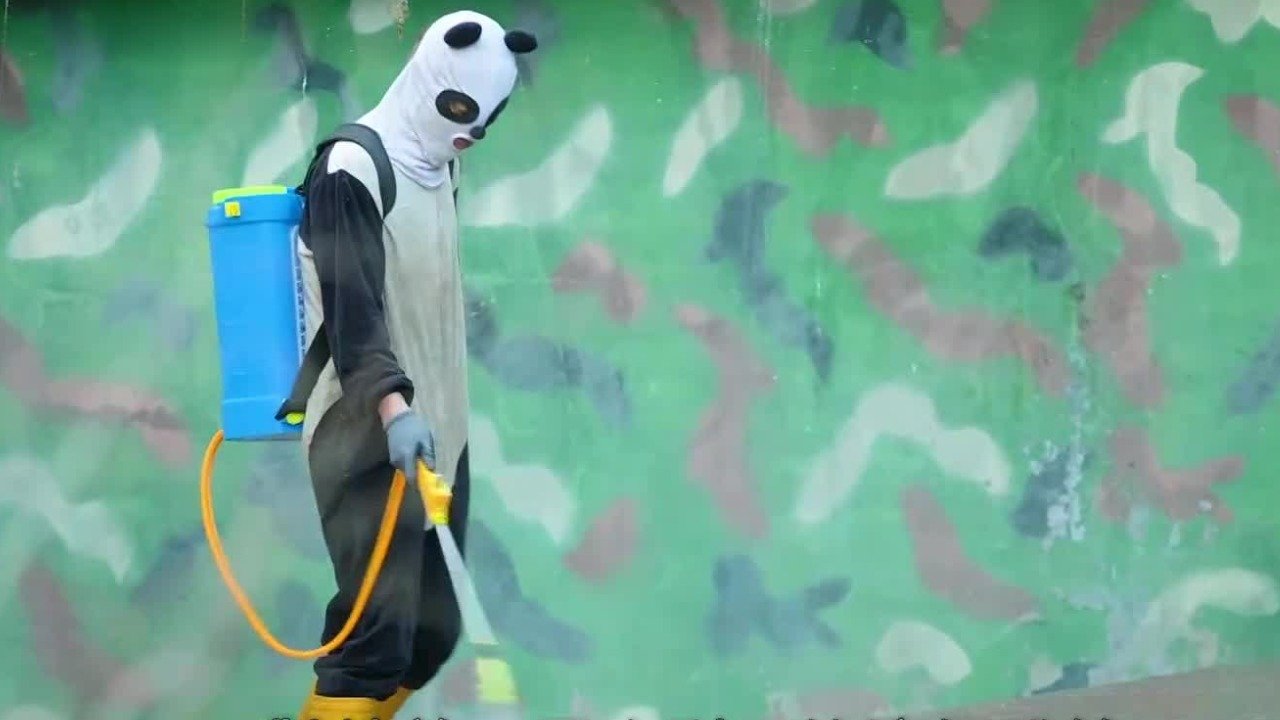 穿伪装服、喷“伪装液”，大熊猫饲养师变身“熊猫人”为哪般？