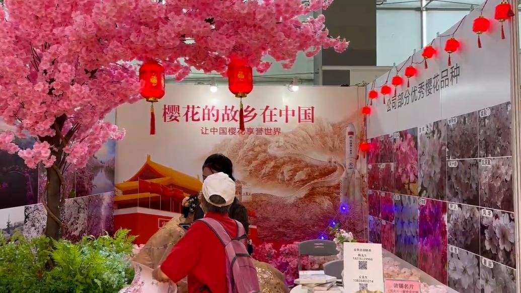 “樱花”现身广州国际旅游展览会，众多品种颜色各异