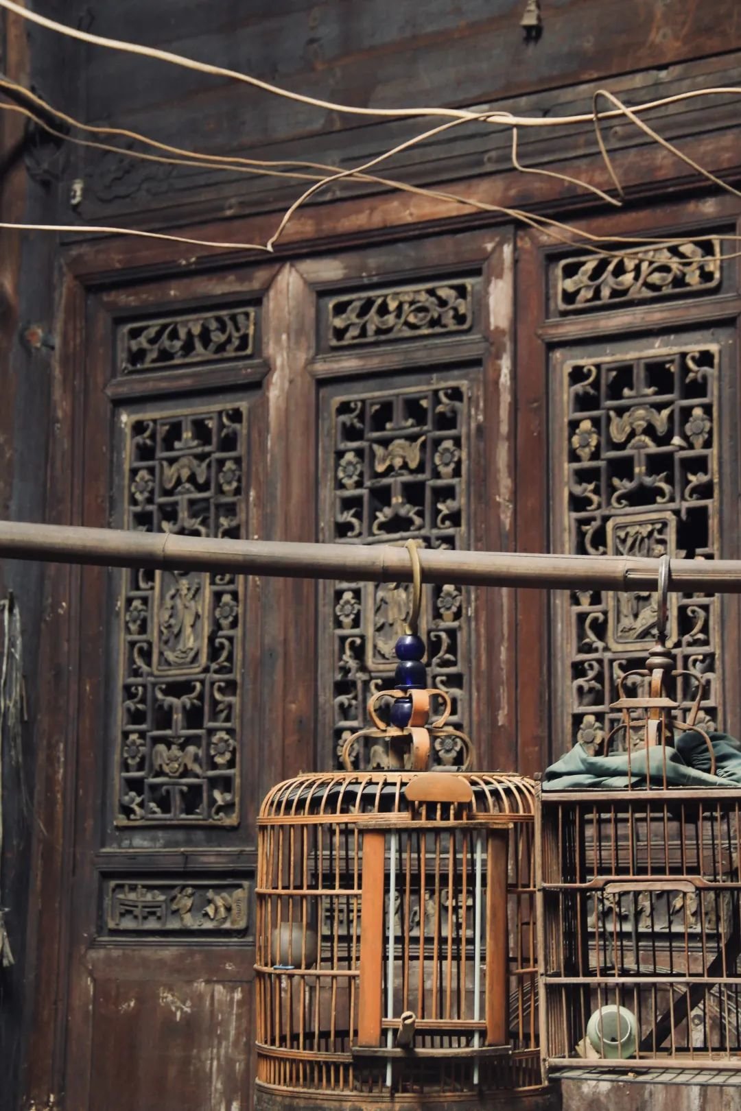 老民居内景，屋主人爱养鸟。（全媒体记者 罗虹 摄）