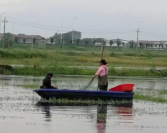 永修涂埠镇：小龙虾推动大发展 开辟助农增收新途径