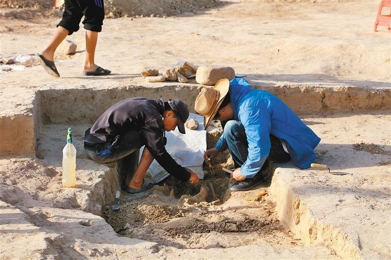 中乌联合考古队在考古现场工作