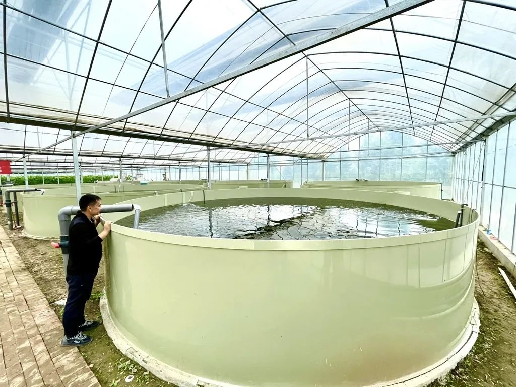 打好“绿色生态牌”！泰州靖江首个“鱼果共生”示范基地建成