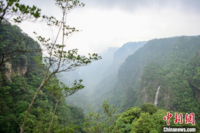 广东加快创建南岭国家公园促进人与自然和谐共生