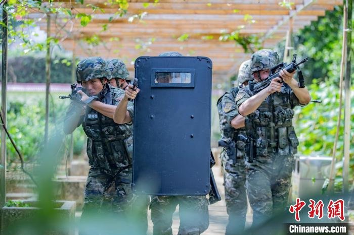 武警官兵在进行小组战术训练. 余海洋 摄