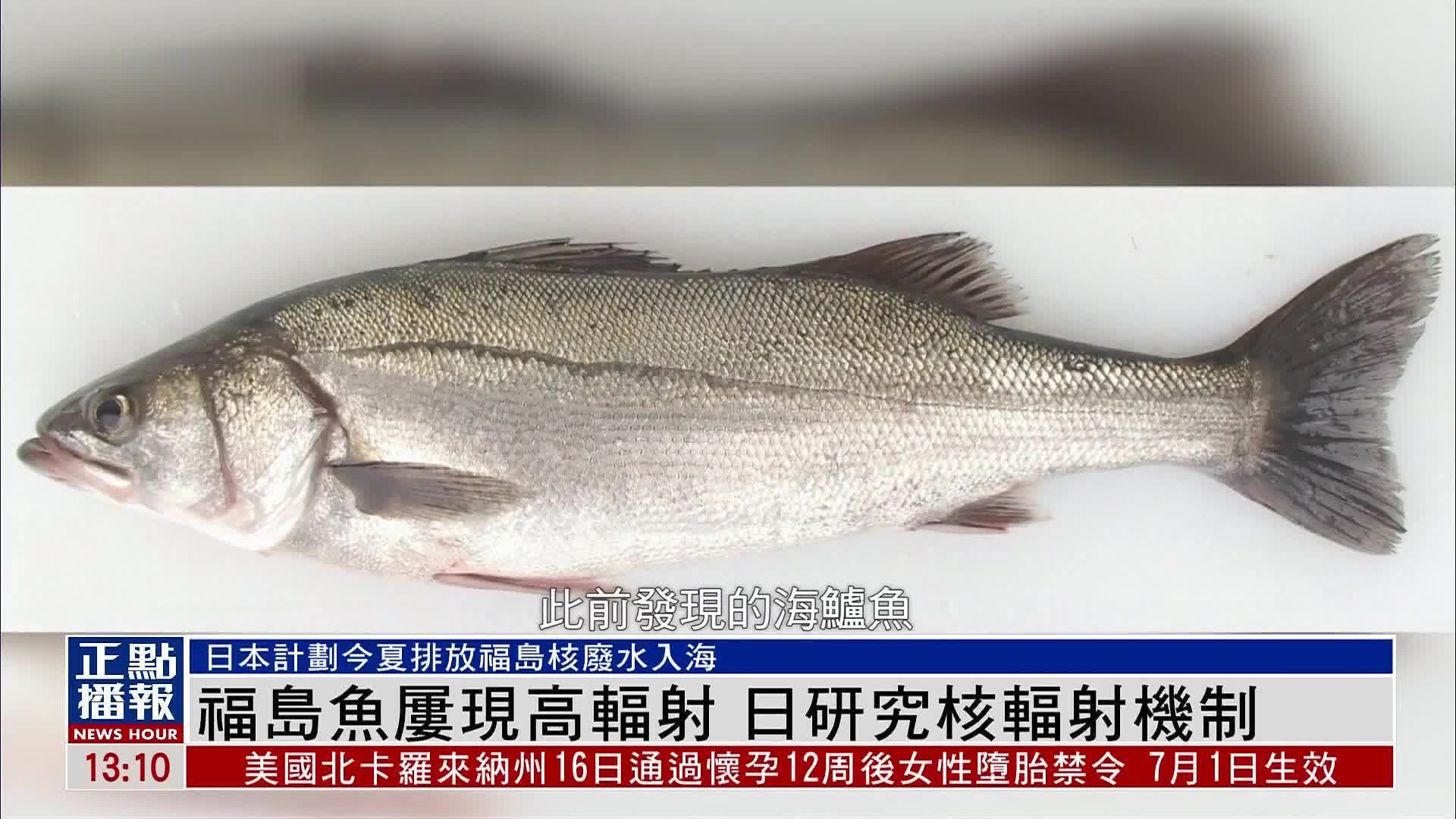 福岛鱼类屡现高辐射 日本研究摄入核物质途径