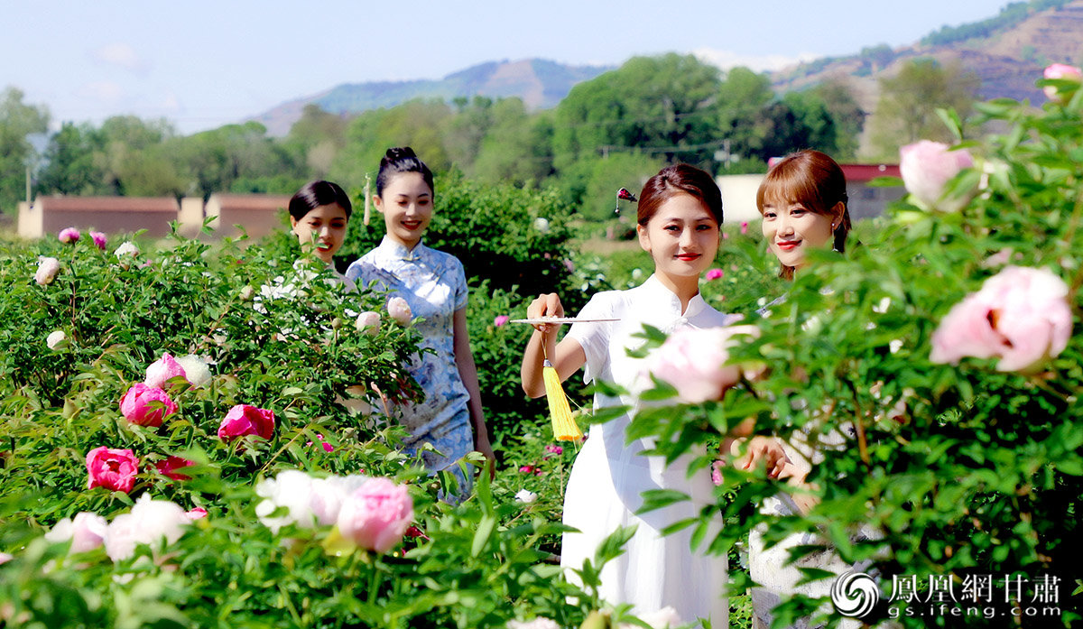 缤纷五月,定西市临洮县俨然成了花的海洋。郎佐民 摄