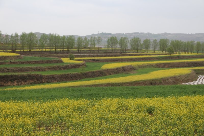 华亭“因村制宜”开方子 村集体经济换挡提速
