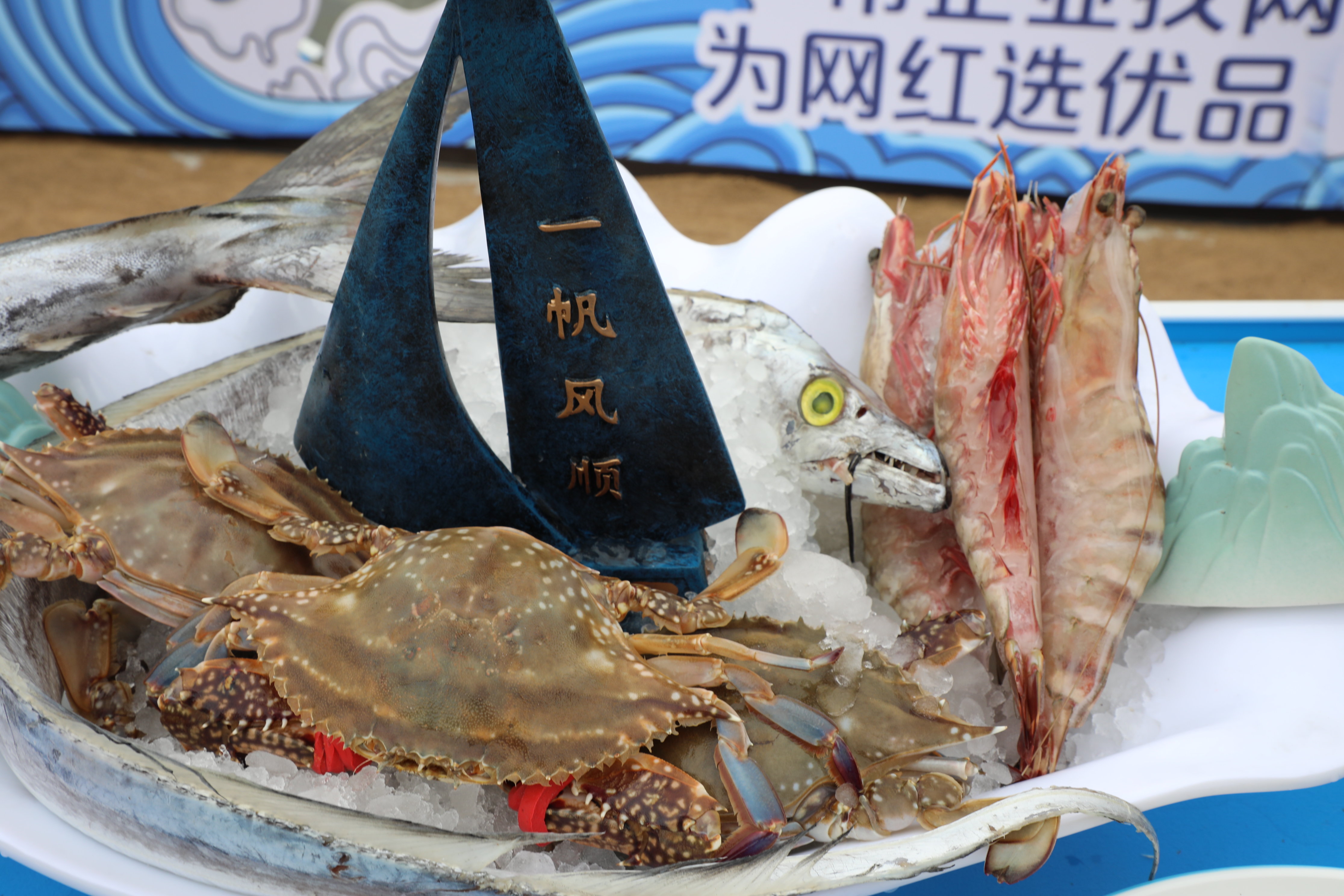赣榆：“海阔凭榆跃 e网任你鲜”