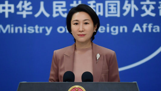 五眼联盟妄称中国黑客攻击关岛，外交部：美国才是“黑客帝国”