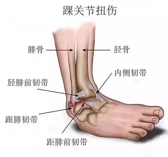 西安市红会医院足踝外科北院区完成首例连台手术凤凰网陕西