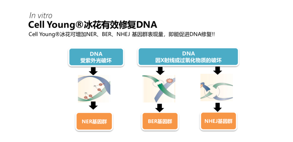 皮肤保护剂有什么作用 0A208C0318287178481420A74E93F2EF17DC98A7_size1814_w978_h474.png