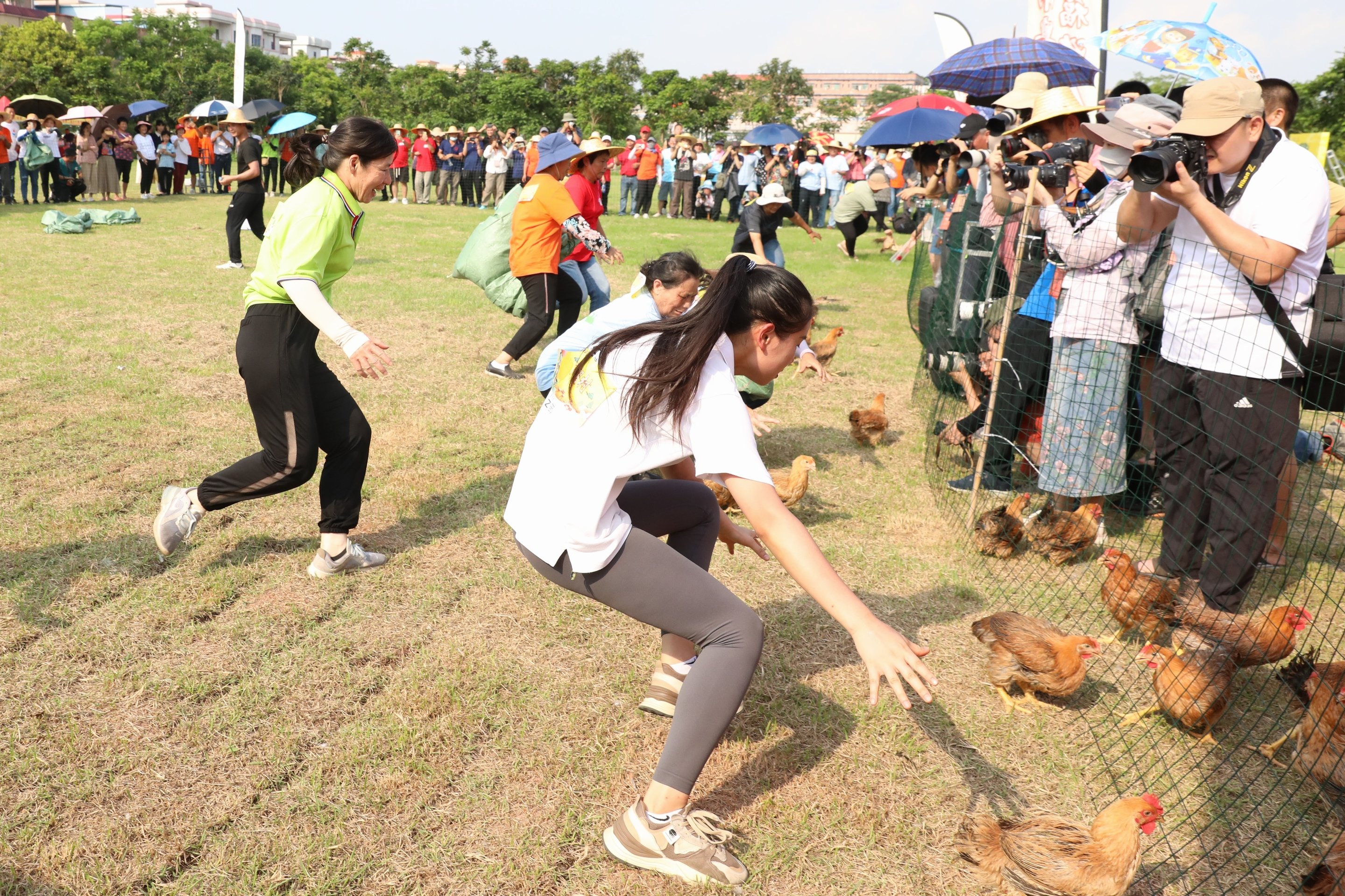 “村”味十足 茶山镇第二届乡村趣味运动会活力上演