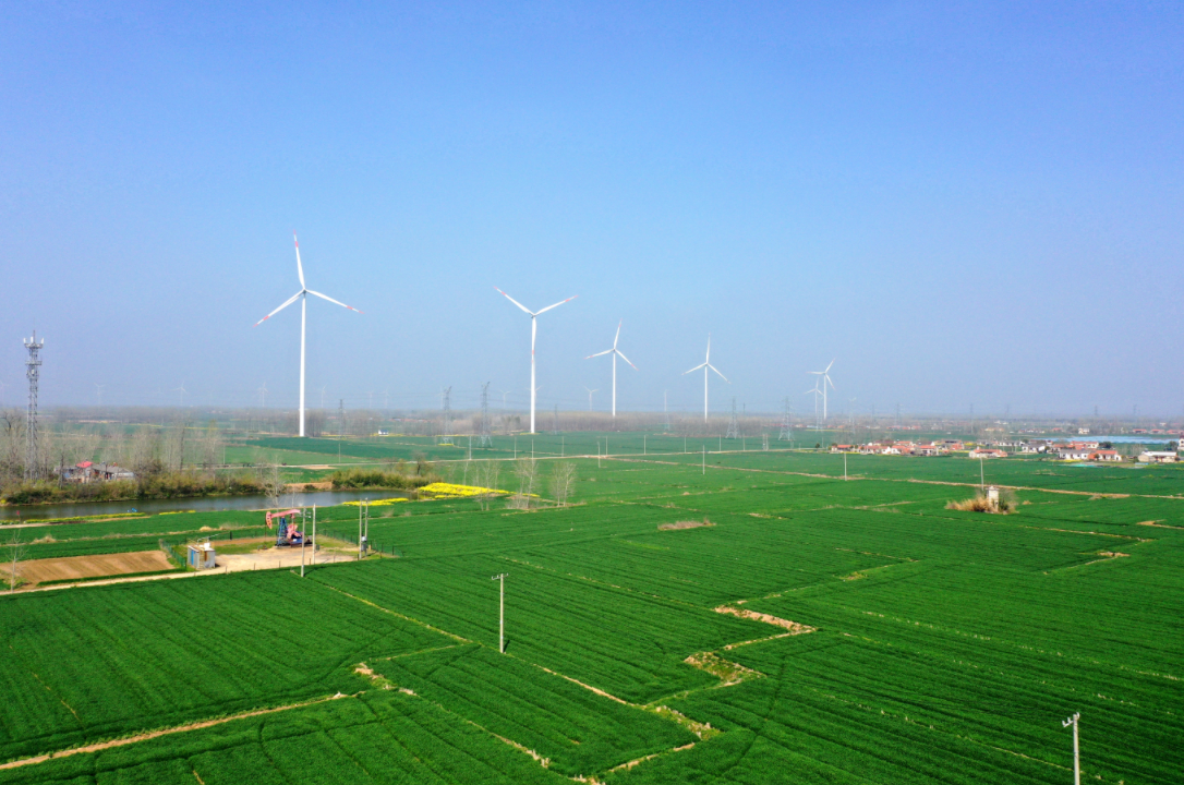 江苏金湖做好三篇文章推进空间治理激发乡村振兴活力