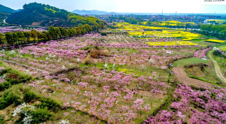 铜陵市郊区：山水美景引客来 全域旅游处处景