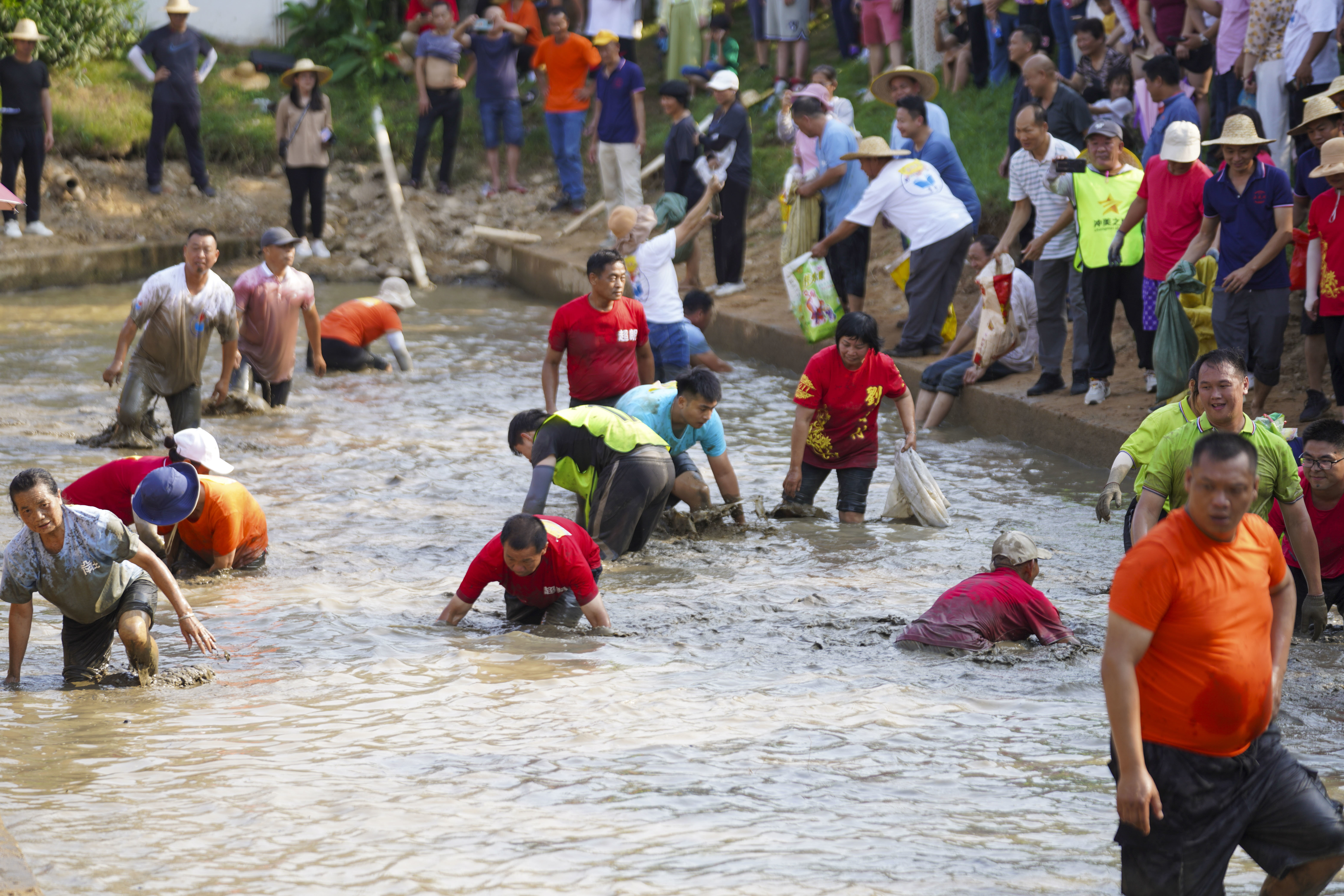 “村”味十足 茶山镇第二届乡村趣味运动会活力上演