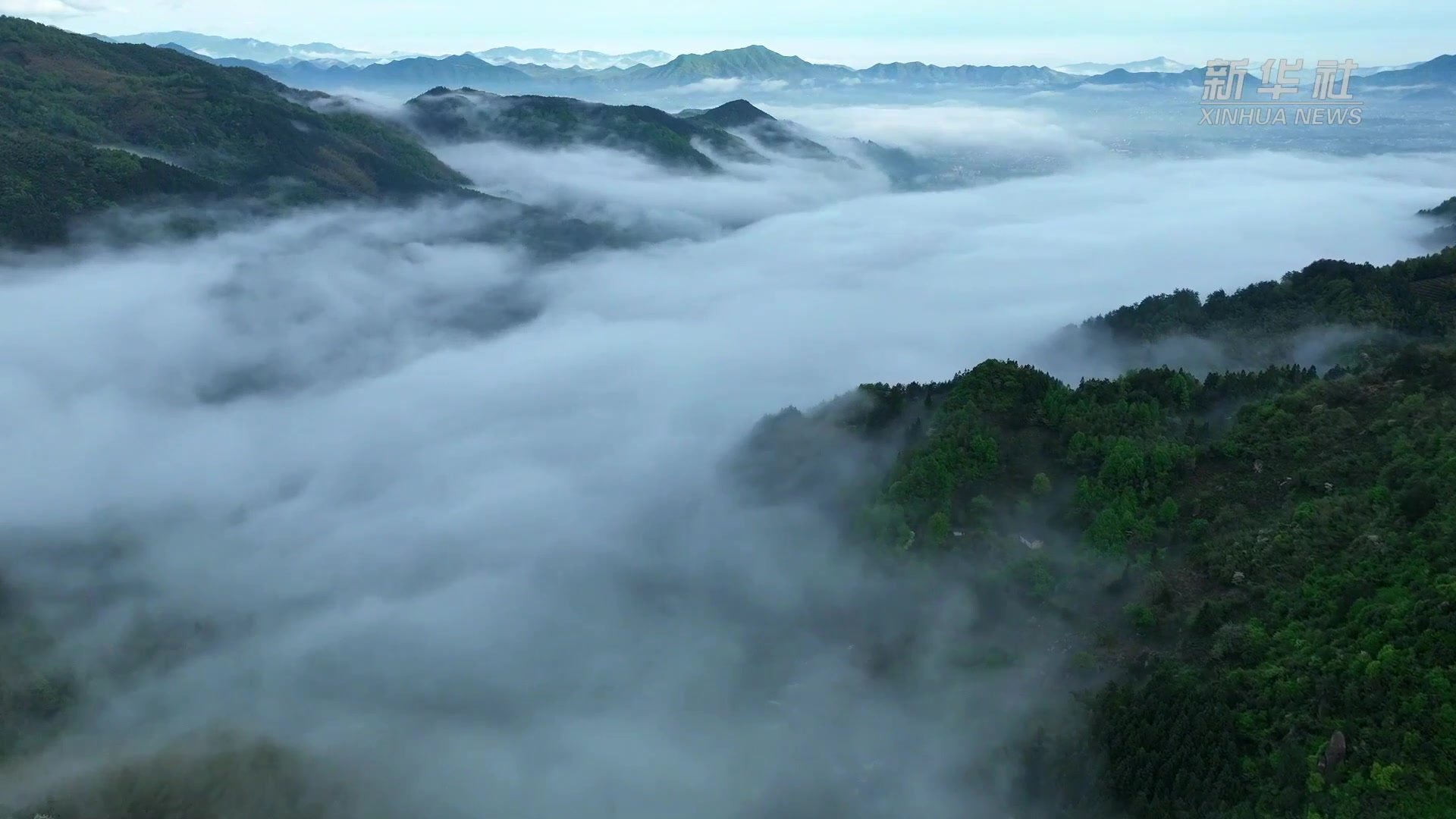 安徽九华山：雨后云海 如梦如幻