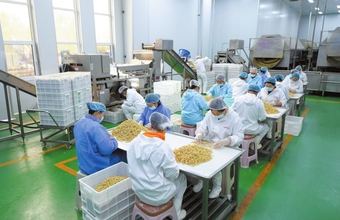 古县古岳古树核桃加工车间