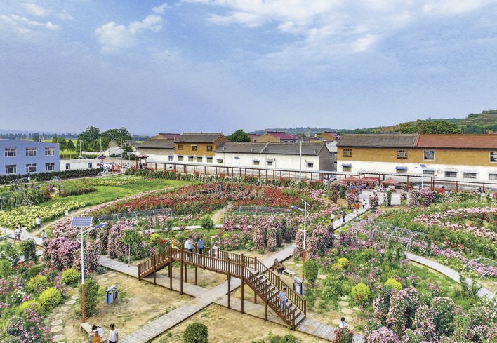 “初心公园”醉游人