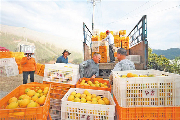 寻乌高标准建设果园富民增收(图片由蚂蚁集团提供)