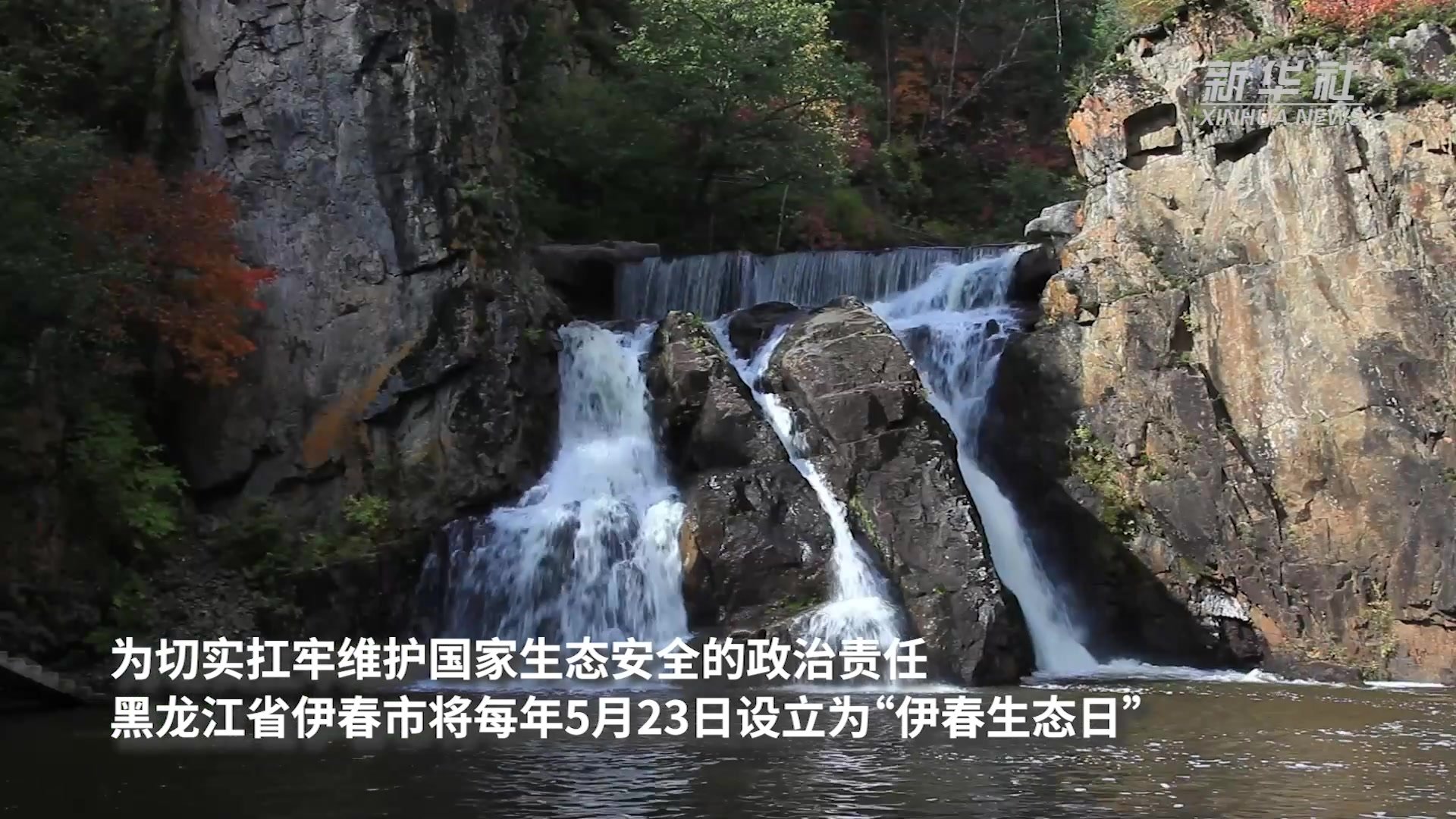 林都伊春：尽享生态美景 共护绿美家园
