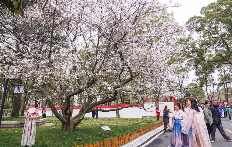 铜陵市郊区：山水美景引客来 全域旅游处处景