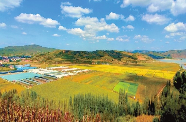 安泽县稻蟹鱼绿色智慧循环农业示范基地