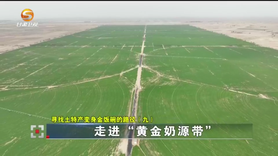 走进“黄金奶源带”，看一杯优质牛奶是如何诞生的