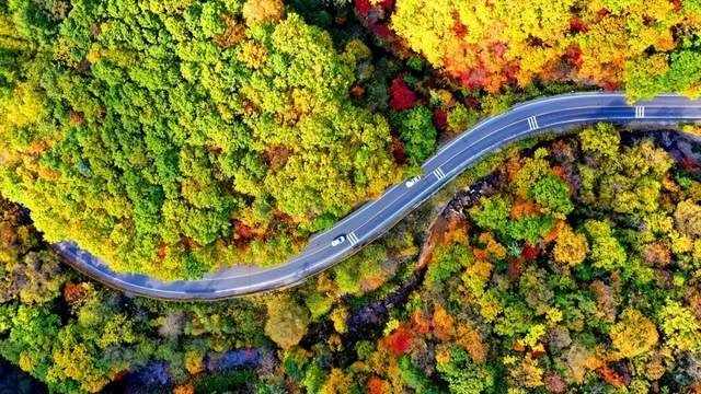 沿最美G331公路收“吉”边境小城的清凉浅夏凤凰网吉林_凤凰网