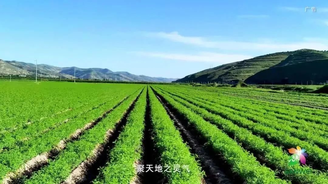 陇西,陇西 出发正当时