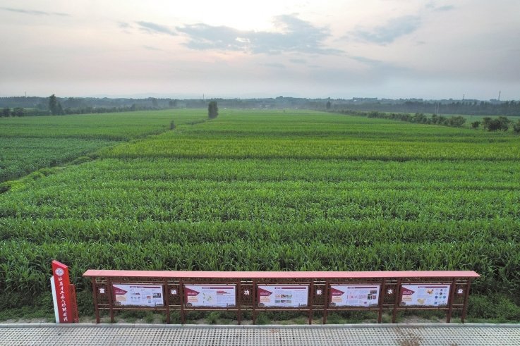 洪洞县万亩富硒农产品基地