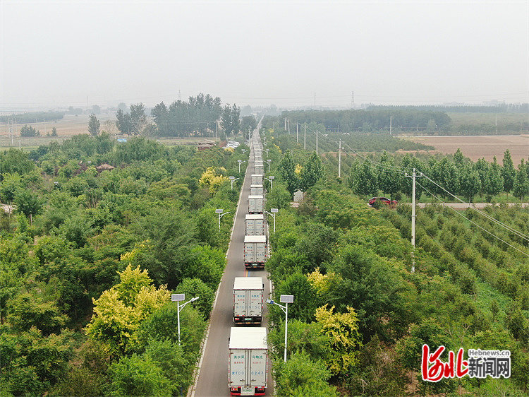 图为满载“河北净菜”的货车从衡水市饶阳县出发前往北京市场。 河北日报记者田明摄