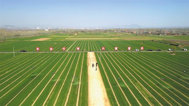翼城县土地托管壮大集体经济