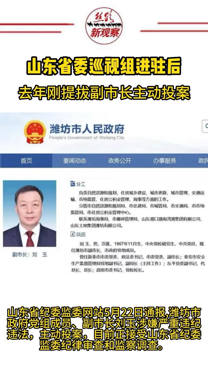 省委巡视组进驻后，去年刚获提拔的副市长主动投案 #违纪违法