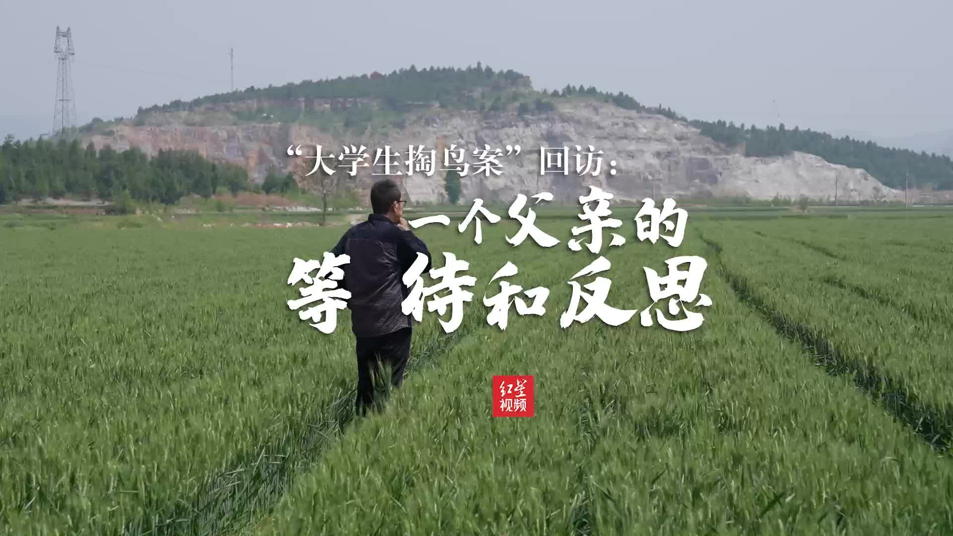 “大学生掏鸟案”回访：一个父亲的等待和反思