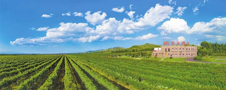 襄汾县依托尧京酒庄成立葡萄种植联合社