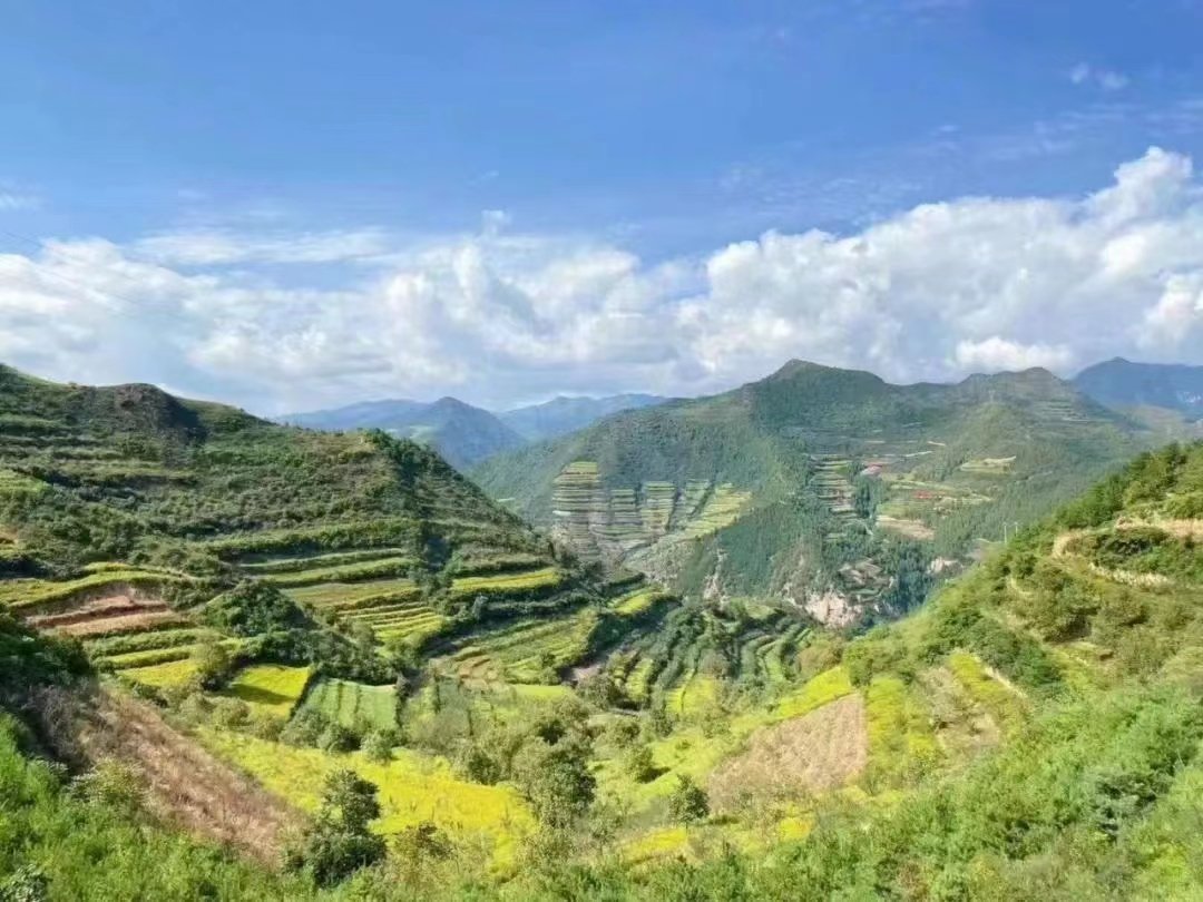 陈仓 ：砥砺奋进20载 乡村振兴画卷在陈仓大地徐徐展开凤凰网陕西_凤凰网