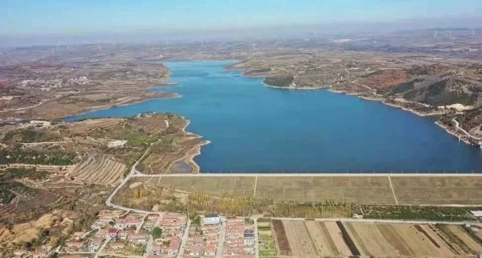 踔厉奋发新时代,勇毅前行向未来!青岛开投集团举行“摘星夺旗”健康跑活动