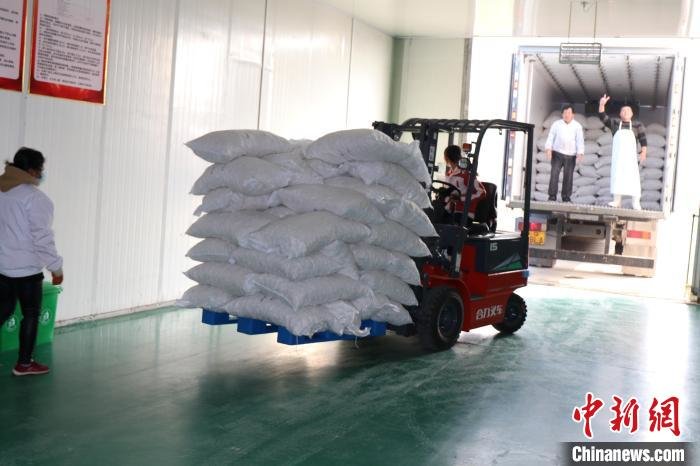 （资料图）工人在山东省聊城市茌平区肖家庄镇田园汇农业综合体装运有机菜花，准备销往俄罗斯。　　马红坤 　摄