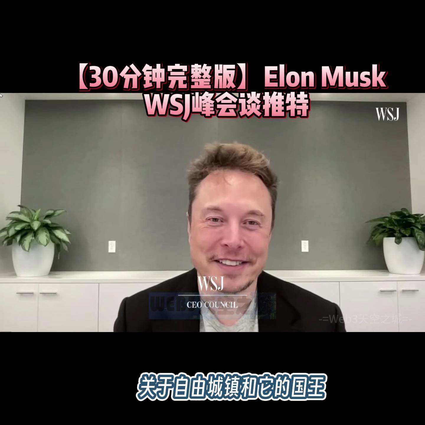 【30分钟完整版】Elon Musk在WSJ峰会上谈推特：自由城镇和它的国王