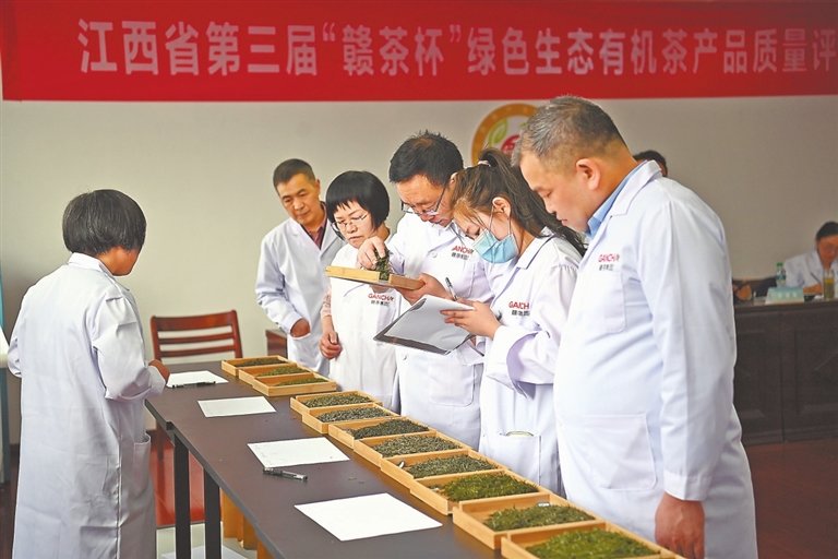 5月3日，江西省第三届绿色生态有机茶产品质量评选活动在南昌举行，专家们正对茶叶品质进行仔细评比。