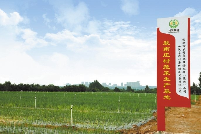 曲沃县裴南庄村粮蔬轮作项目