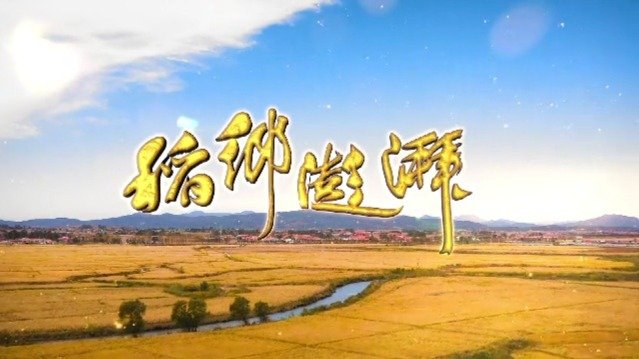 饱含酸甜苦辣的人物故事，展示了辽南农民践行乡村振兴战略的努力