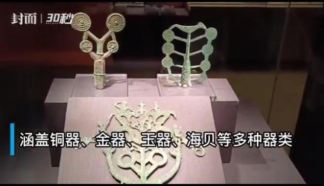 30秒｜青铜马车、蛇蛙铜俎、枝形器……盐源老龙头遗址出土文物亮相金沙