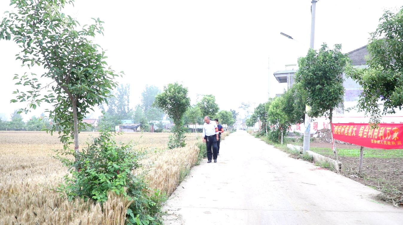 全力以赴战“三夏” | 柘城县吕岗村：做好应急抢收保障 确保收种两及时