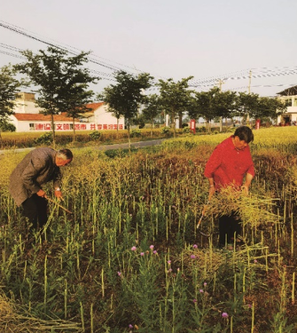 微信截图_20230530162011.png