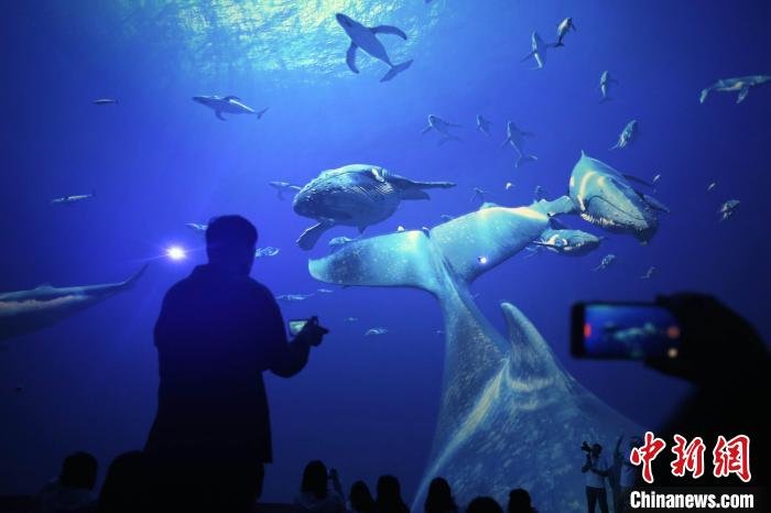 震撼的视觉画面吸引观众频频拍摄。 蔡亚群 摄